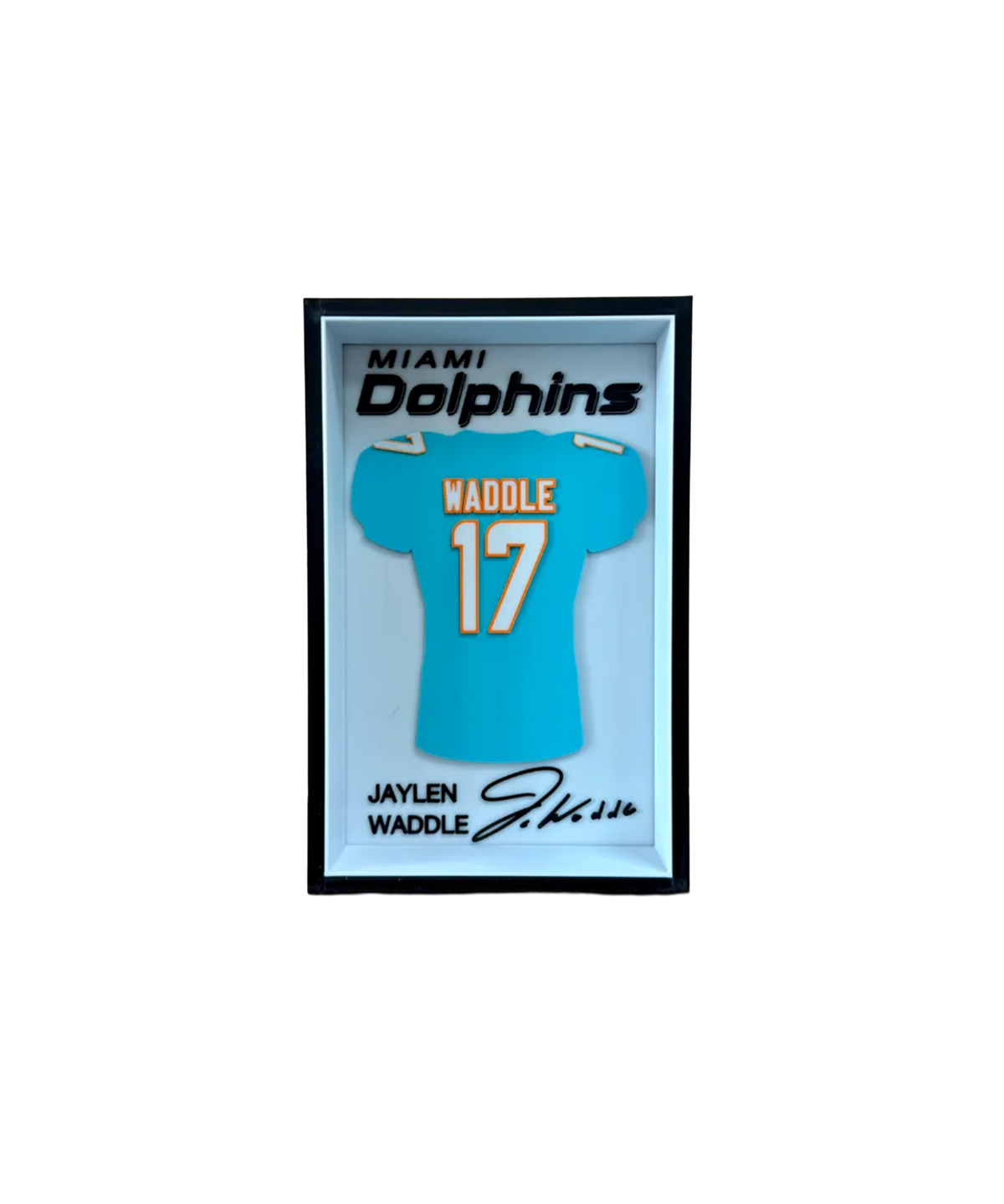 DOLPHINS JERSEY BOX